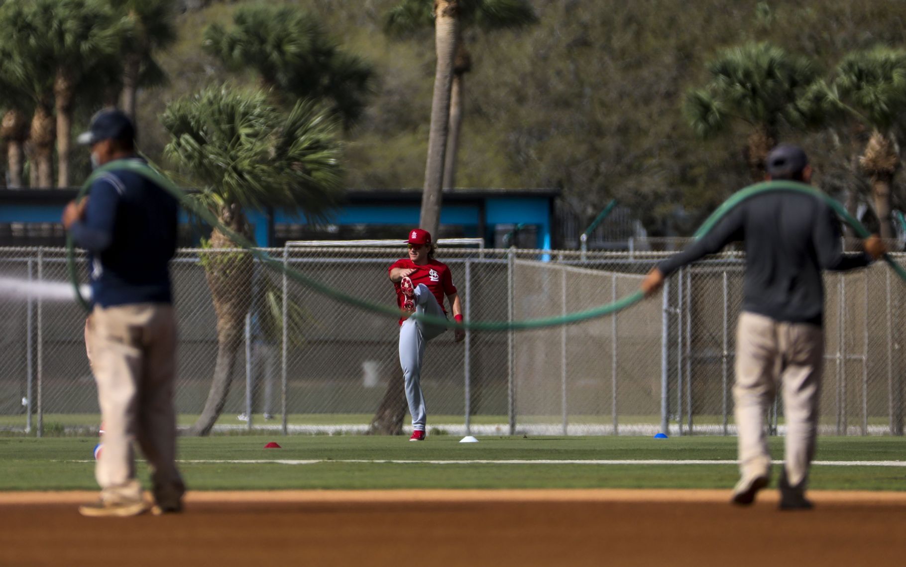 Day six of Cardinals spring training workouts